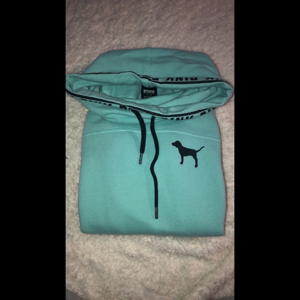 PINK sweatshirt